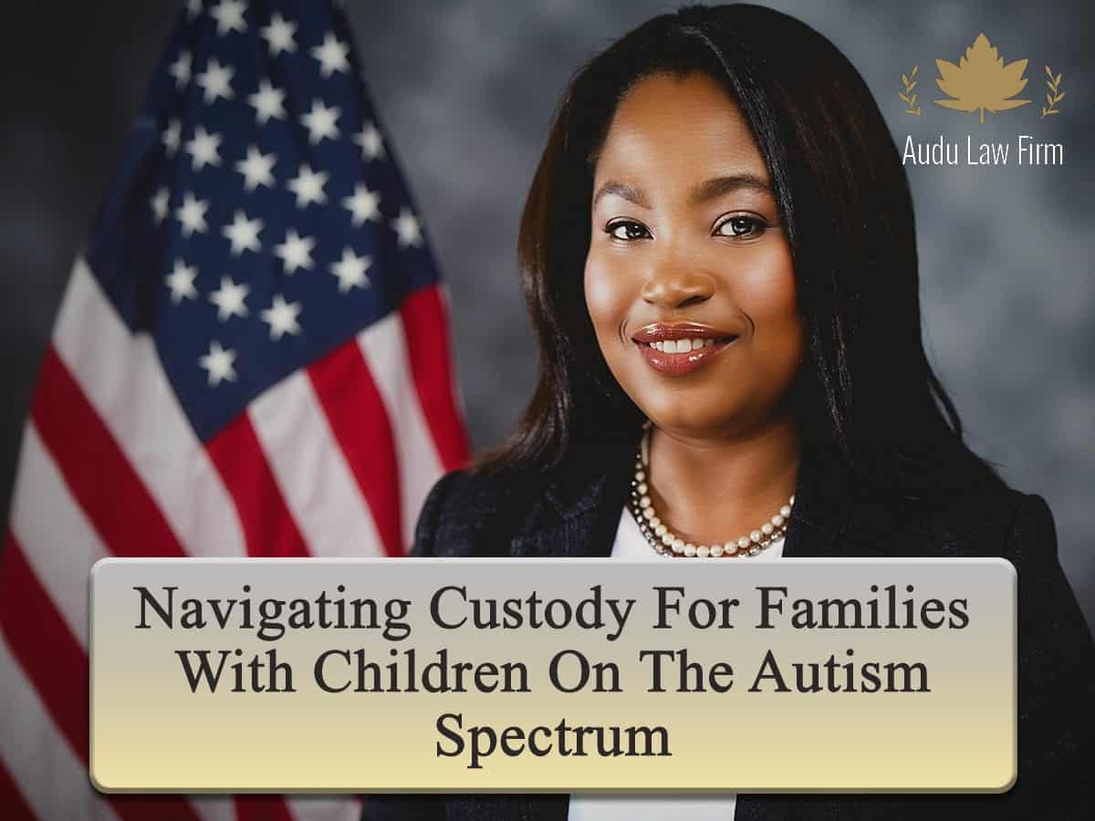 Navigating Custody for Families With Children on the Autism Spectrum
